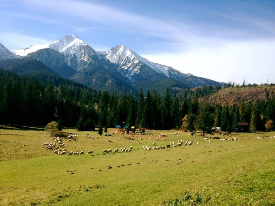 Hotel Magura Ždiar Dış mekan fotoğraf